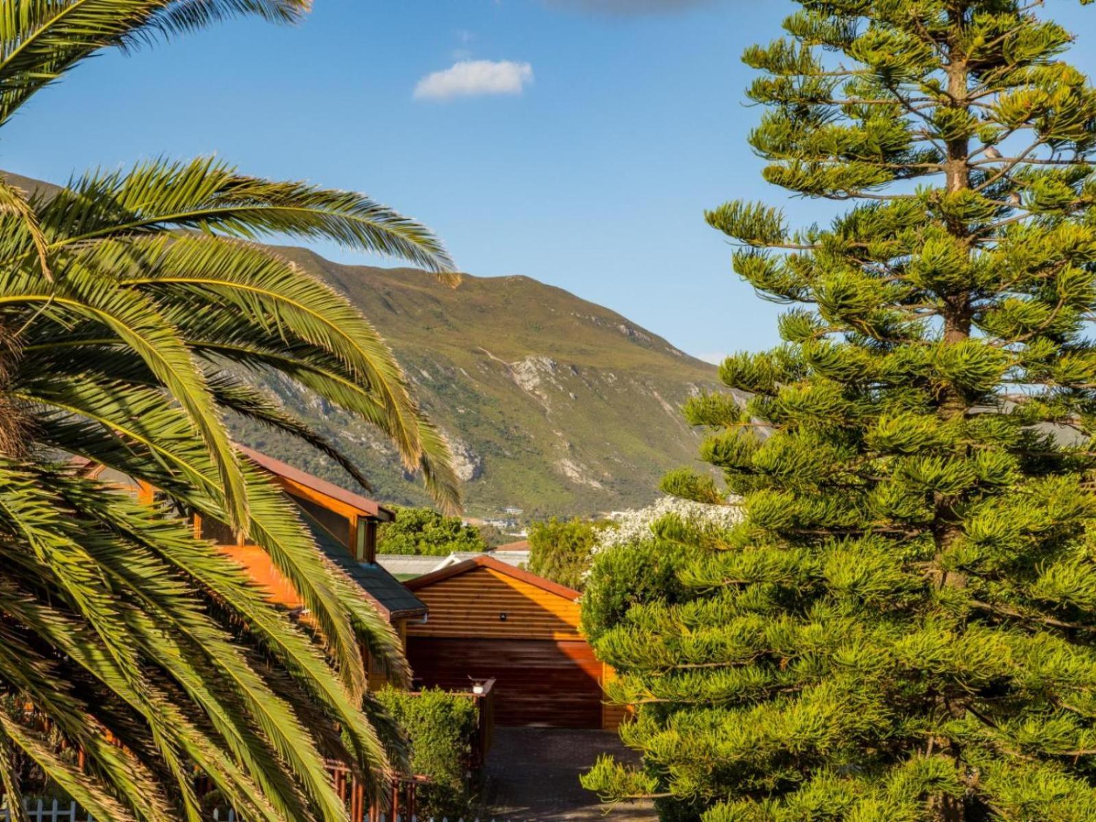 Two Palm House - Vermont Hermanus Cameră foto